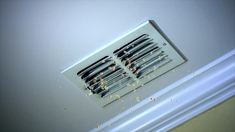 Best Commercial Air Duct Cleaning  in Mountain Lodge Park, NY